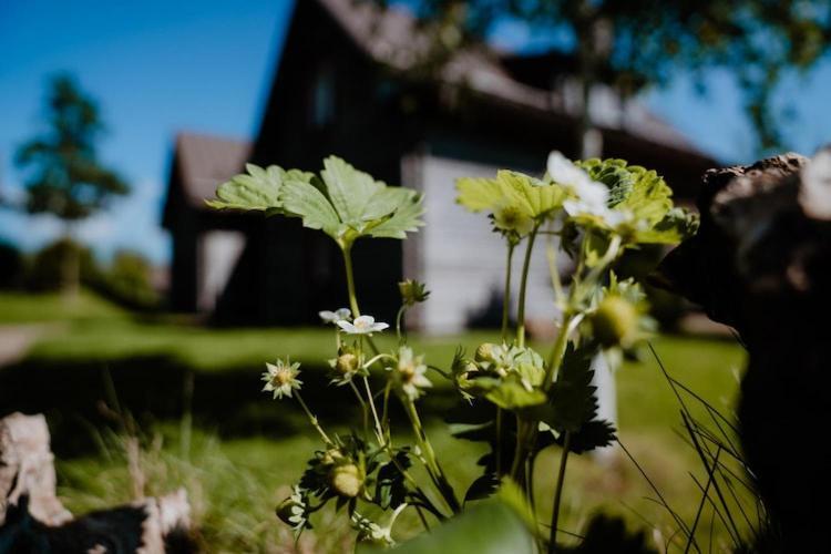 Semi Detached Houses Turf House Torfhaus Bagian luar foto